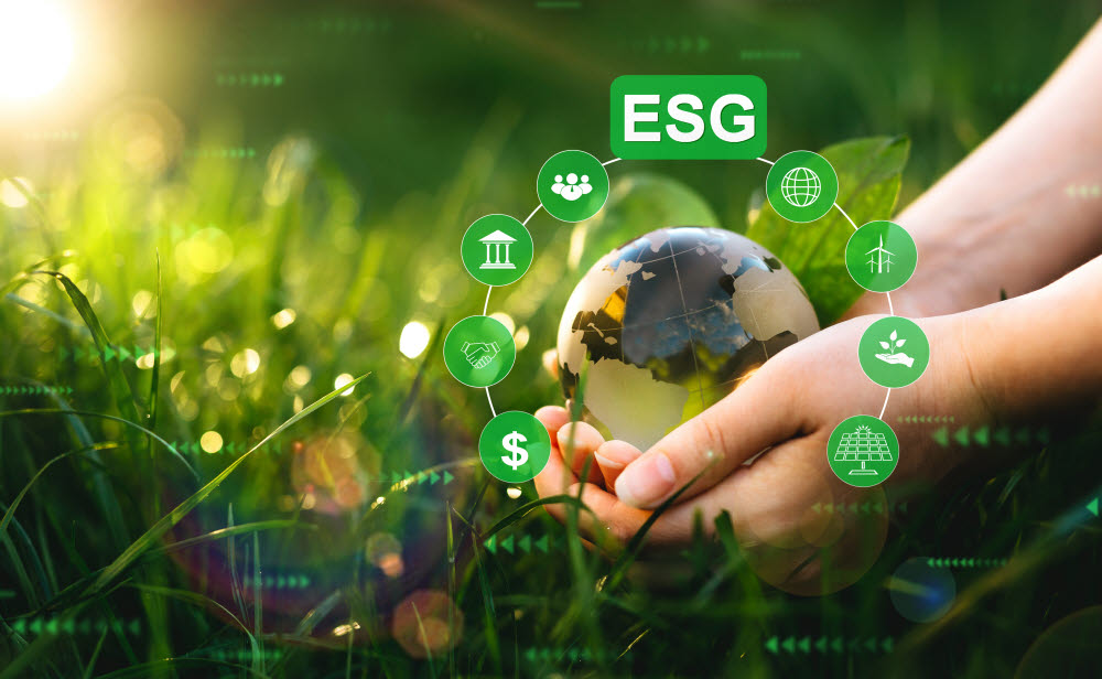 ESG: what, why and where to next